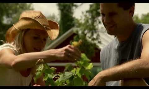 the roots of shaklee 1 video